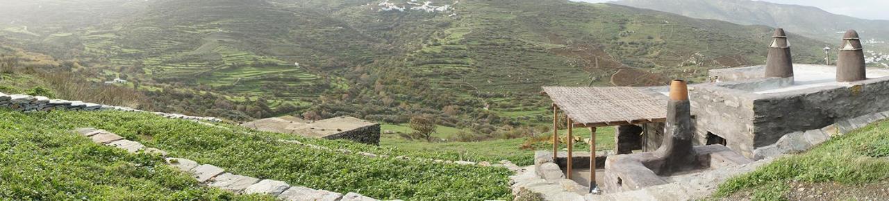 Alonaki Tinos Rental Cottage House Skaládhos Eksteriør billede
