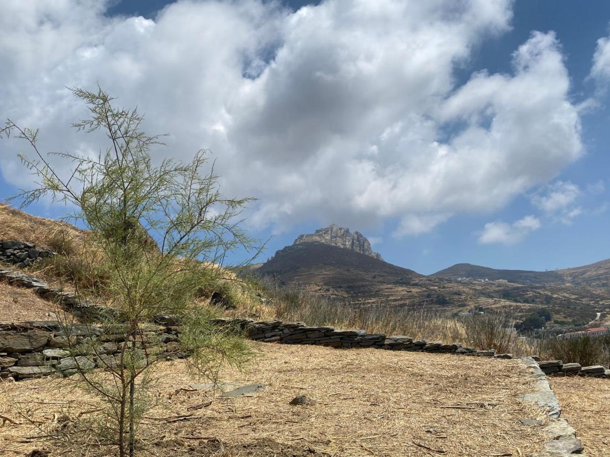 Alonaki Tinos Rental Cottage House Skaládhos Eksteriør billede